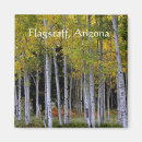 Buscar asta imanes Naturaleza