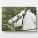 Buscar caballo blanco placas fotograbadas Animales