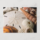 Buscar surtido postales Cindy miller hopkins