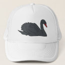 Buscar cisnes gorras Cisne negro
