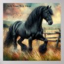 Buscar caballo negro posters Animal de granja