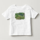 Buscar vincent van gogh camisetas Sur