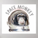 Buscar chimpancé divertido posters Monos