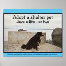 Buscar rescate posters Adopción