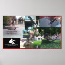 Buscar parkour posters Freerunning