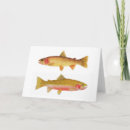 Buscar trucha tarjetas Pescados