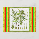 Buscar marley postales Rasta