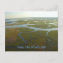 Buscar humedal postales Florida