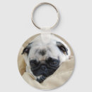 Buscar pug llaveros Lindo