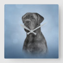 Buscar clipart relojes de pared Animales