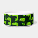 Buscar lagartos mascotas Verde