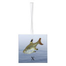 Buscar peces marinos adornos Para todos