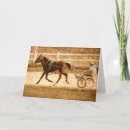 Buscar raza del caballo tarjetas Equino