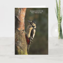 Buscar rojo blanco negro tarjetas Color