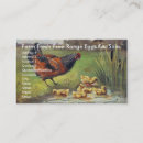 Buscar huevos frescos para la venta tarjetas de visita Gallina