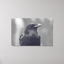 Buscar pájaro blanco y negro lienzos General y unisex