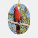 Buscar pájaro rojo adornos Para ellos