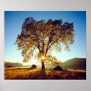Buscar rayo amarillo posters Rayo de sol