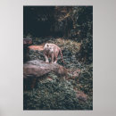 Buscar piedra natural posters Blanco