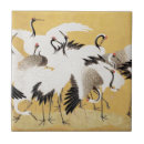 Buscar aves azulejos Para todos