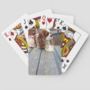 Buscar perros barajas de cartas General y unisex