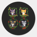 Buscar cats postales Alegre