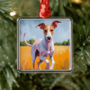 Buscar galgos adornos Blanco
