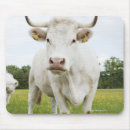 Buscar apple que se coloca Agricultura