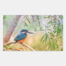 Buscar fotografía rectangulares pegatinas Hojas