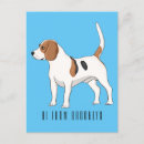 Buscar beagles postales General y unisex