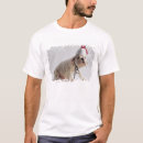 Buscar aduana hombre ropa Canino