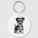 Buscar schnauzer miniatura llaveros Lobo