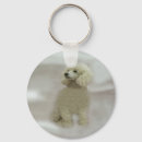 Buscar caniche llaveros Perros