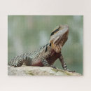 Buscar animal australiano puzzles General y unisex