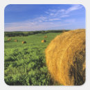 Buscar heno pegatinas Granja