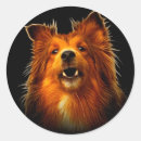 Buscar arte del perro pegatinas Para mascotas
