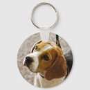 Buscar beagle lindo llaveros Perro