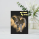 Buscar fox terrier postales Perro