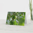 Buscar roble tarjetas Bosque