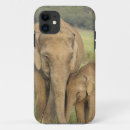 Buscar elefante indio iphone fundas Corbetano