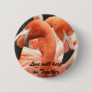 Buscar flamencos chapas Amar