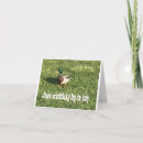 Buscar pícaro tarjetas General y unisex