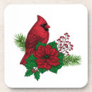 Buscar rama de árbol posavasos Cardenal rojo