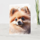 Buscar pomeranian tarjetas Pomerano