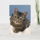Buscar tomate divertido tarjetas General y unisex