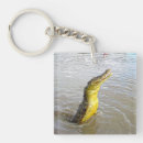 Buscar cocodrilo llaveros Reptil