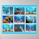 Buscar mundo submarino posters Sirena