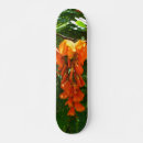 Buscar caja tablas de skate Flor