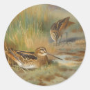 Buscar francotirador pegatinas Pájaros