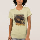 Buscar cougar camisetas León de montaña